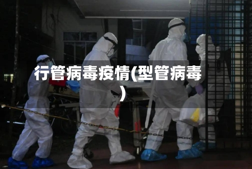 行管病毒疫情(型管病毒)