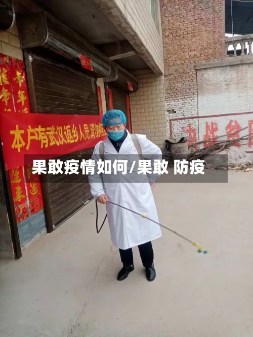 果敢疫情如何/果敢 防疫-第2张图片